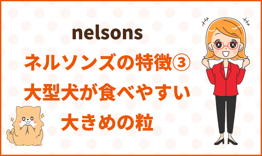 ネルソンズの開発裏話
