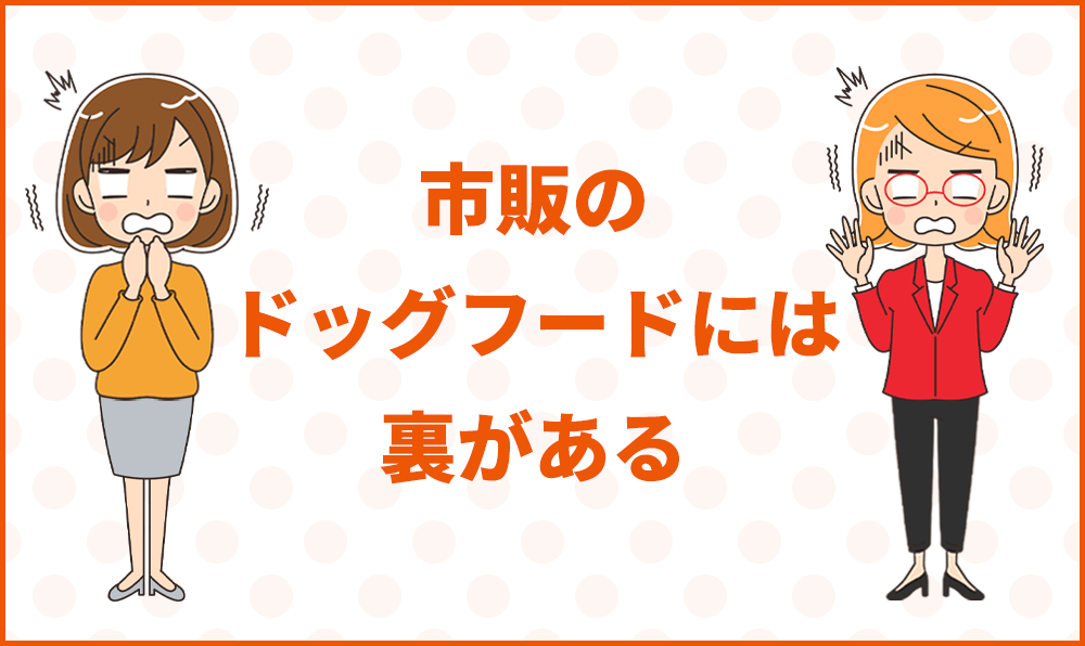 市販の格安ドッグフードには裏がある